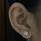 Star Bloom Studs