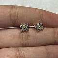 Star Bloom Studs